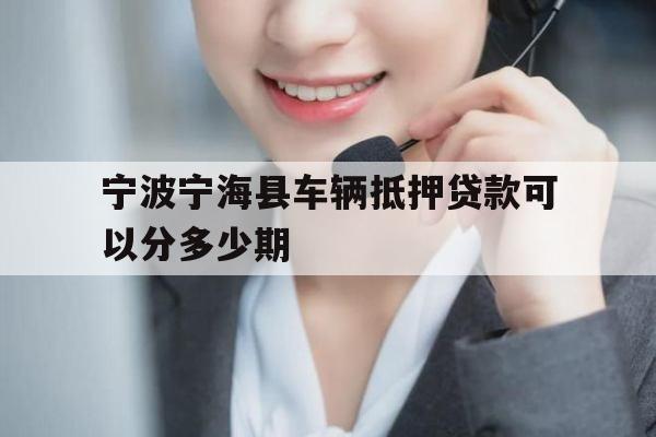 宁波宁海县车辆抵押贷款可以分多少期
