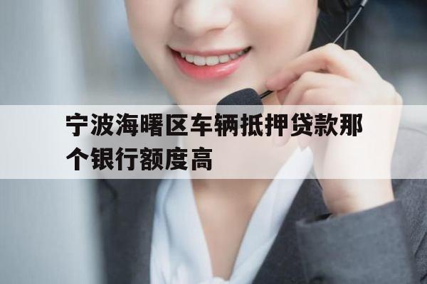 宁波海曙区车辆抵押贷款那个银行额度高